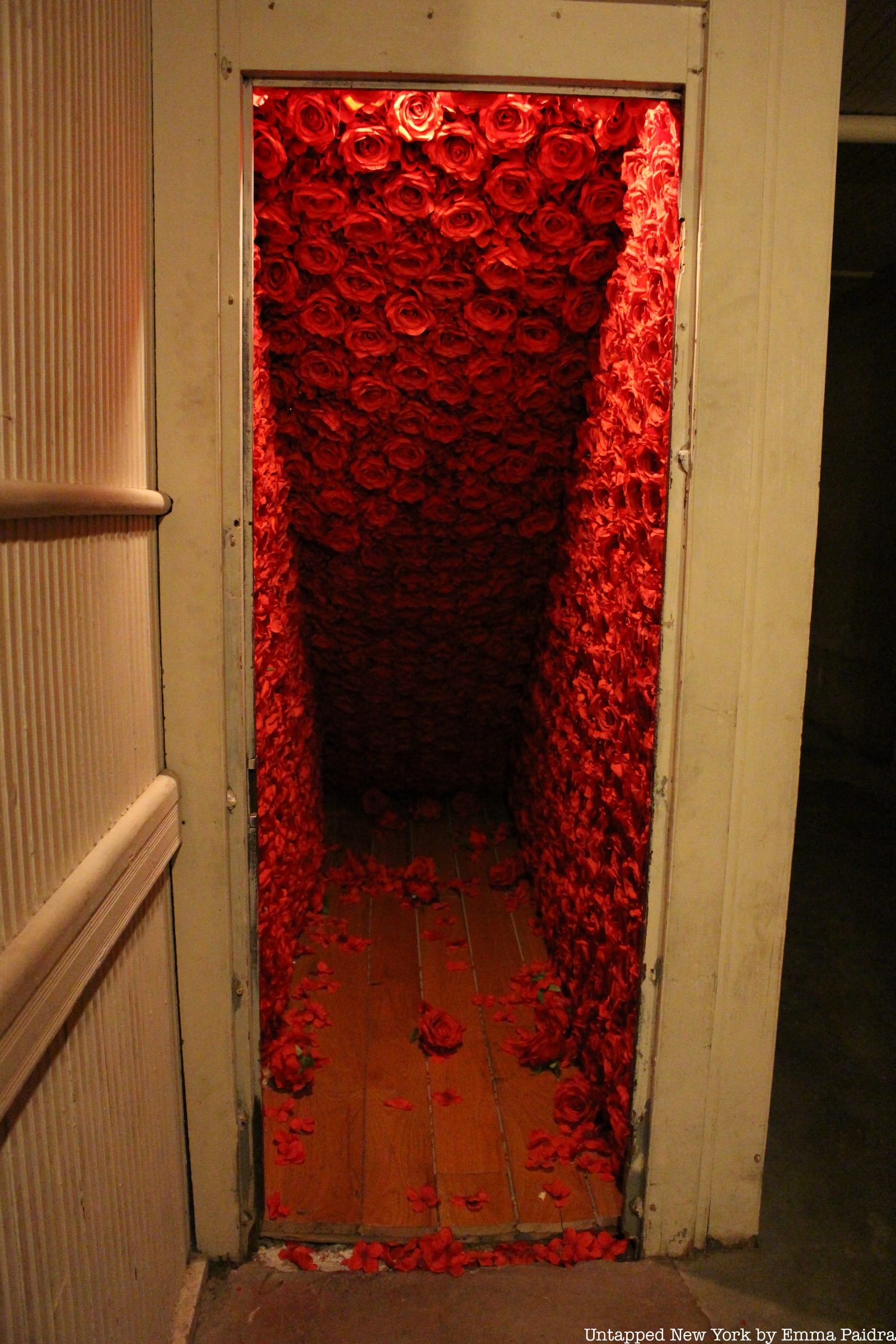 The aforementioned rose-covered crawlspace