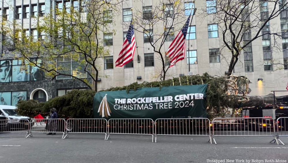 Rockefeller Center Christmas Tree arrives in NYC