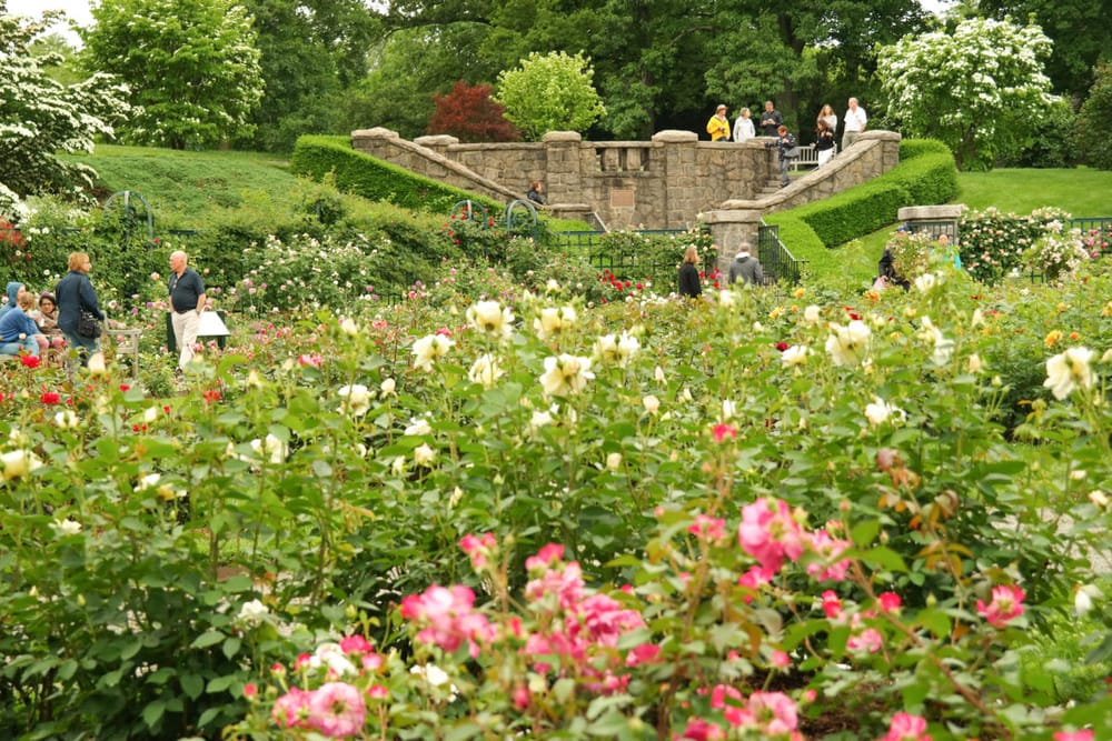 new york botanical gardens