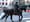 NYC Fun Facts: Why We Need Mounted “10-Foot Tall Officers” in NYC