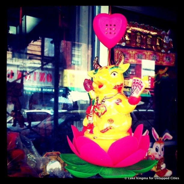 Toys of Chinatown-Luke Kingma-Perpetually Swimming Frog-NYC-7