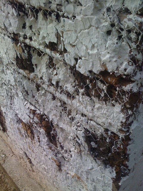 Adobe Walls at the Hacienda Santa Emilia