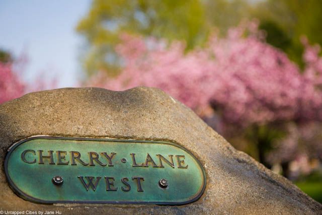 cherry lane west