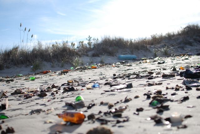 Dead Horse Bay beach