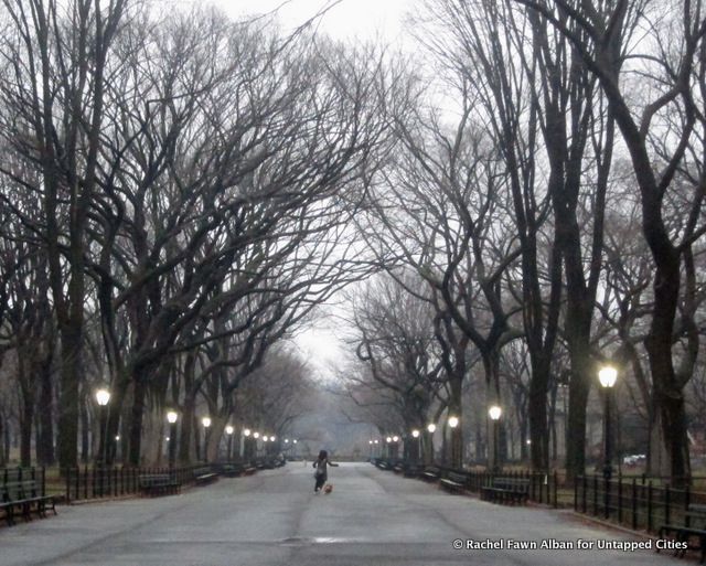 The Mall, one of the most trafficked areas of the park, belongs to the dogs and their humans at this hour.