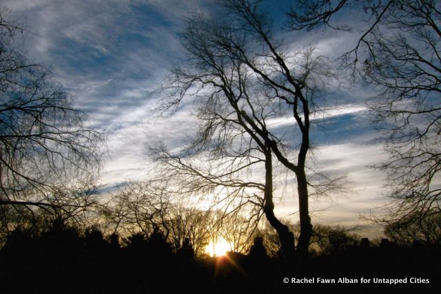 Finally a glimpse of the sun! Taken 45 minutes after sunrise, from around 72nd street in the middle of the park.