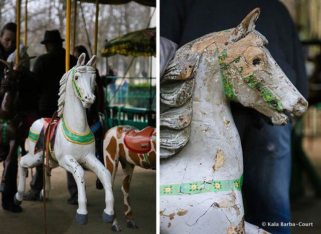 horsecloseup_luxembourg_kalacourt