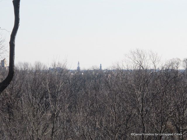 Roofscape of Mid-Brooklyn