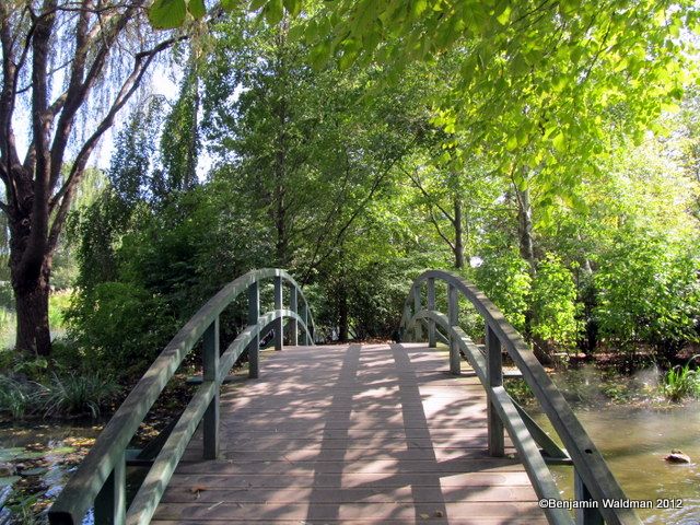 Monet's bridge