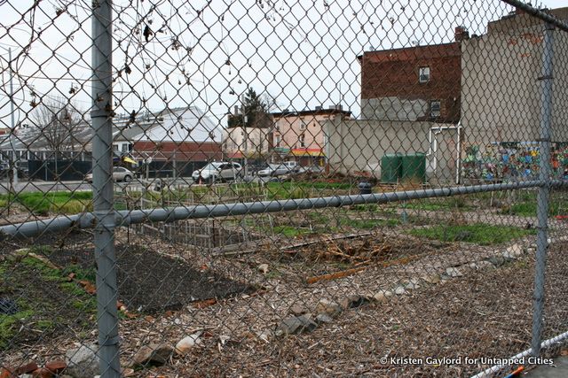 The well-organized Phoenix Community Garden between Somers Street and Fulton Street.