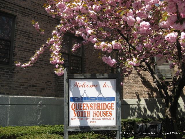 Queensbridge Houses