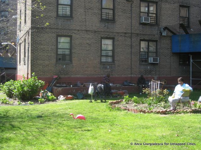 ElderLeadsGardening_Queensbridge_UntappedNY_Anca