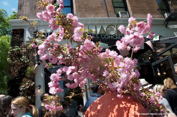 Branches in front of Shake Shack