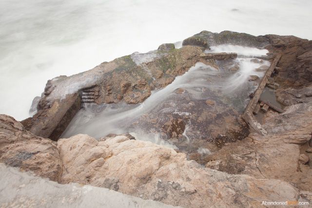 This pool was freshly inundated with sea water.