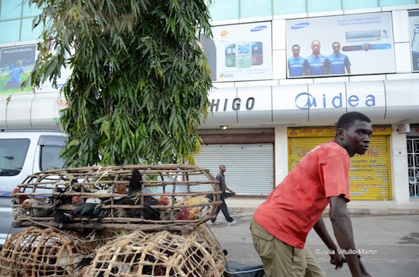 Chickens in DarEsSalaam