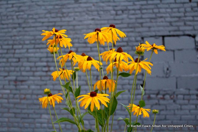 High Line Section 3 - Hudson Rail Yards - Graffiti - Carol Bove Art Tour -  Untapped Cities- Rachel Fawn Alban-016