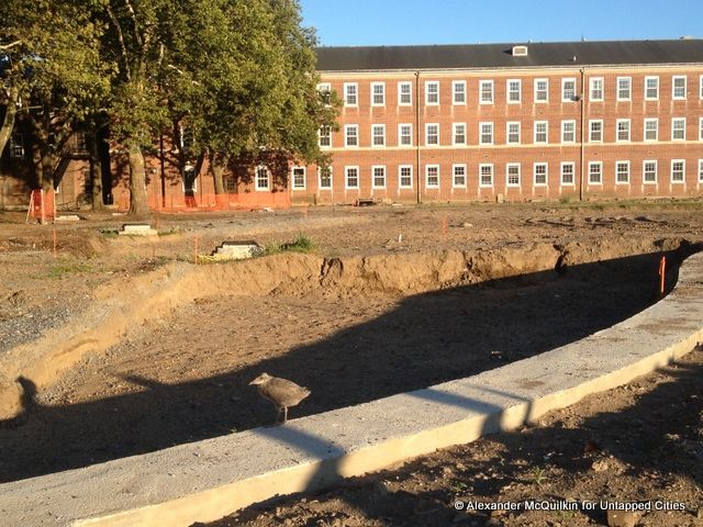 A baby seagull inspects a future fountain at Liggett Terrace