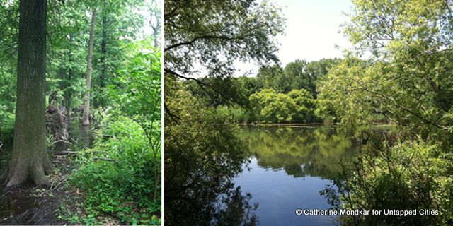 Van Cortlandt Park-NYC-Catherine Mondkar-Untapped Cities