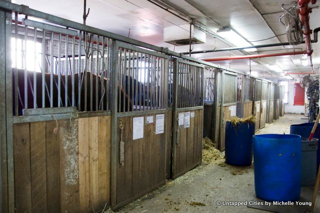 Clinton Park Stables-Central Park Horse and Carraige Ban-Bill de Blasio-NYC_14