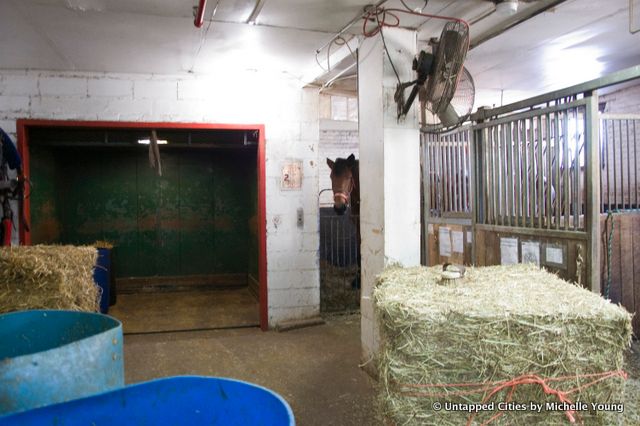 Clinton Park Stables-Central Park Horse and Carraige Ban-Bill de Blasio-NYC_15