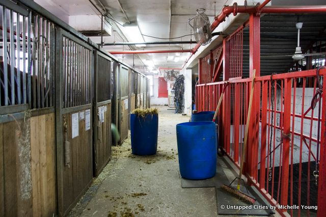 Clinton Park Stables-Central Park Horse and Carraige Ban-Bill de Blasio-NYC_16