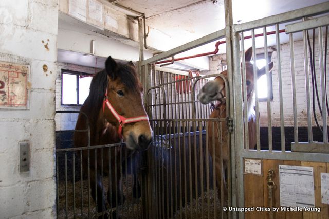 Clinton Park Stables-Central Park Horse and Carraige Ban-Bill de Blasio-NYC_18