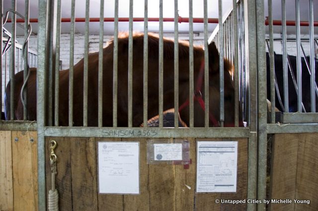 Clinton Park Stables-Central Park Horse and Carraige Ban-Bill de Blasio-NYC_22