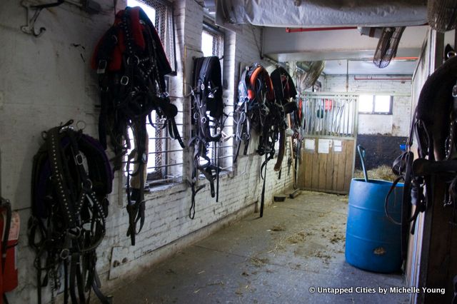 Clinton Park Stables-Central Park Horse and Carraige Ban-Bill de Blasio-NYC_26