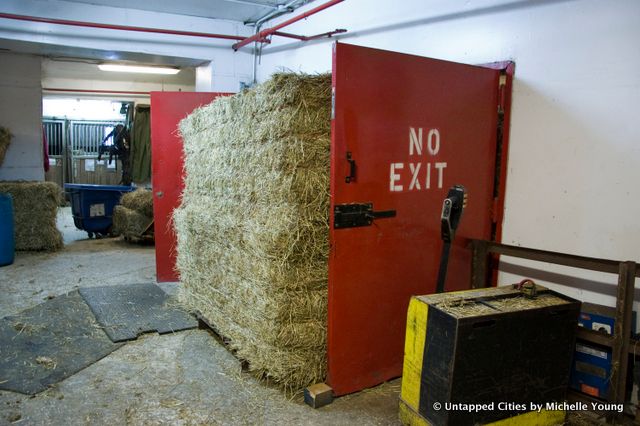 Clinton Park Stables-Central Park Horse and Carraige Ban-Bill de Blasio-NYC_28