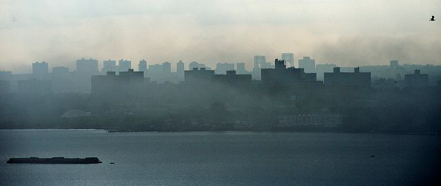 peregrine Falcon Verrazano bridge bronx new york untapped cities samantha sokol1