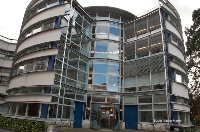 Divinity Faculty's exposed concrete and glass rotunda