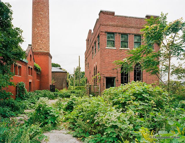 North Brother Island