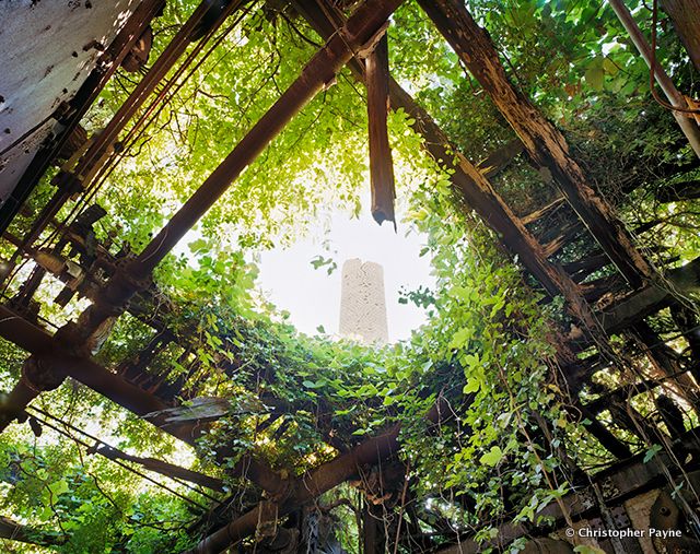 North Brother Island