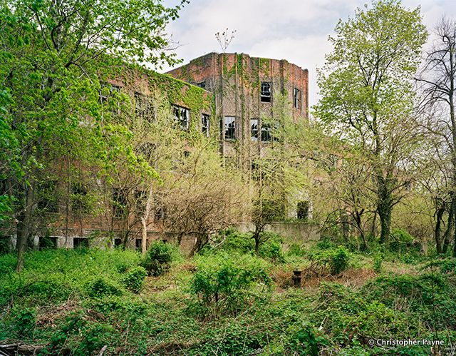 North Brother Island