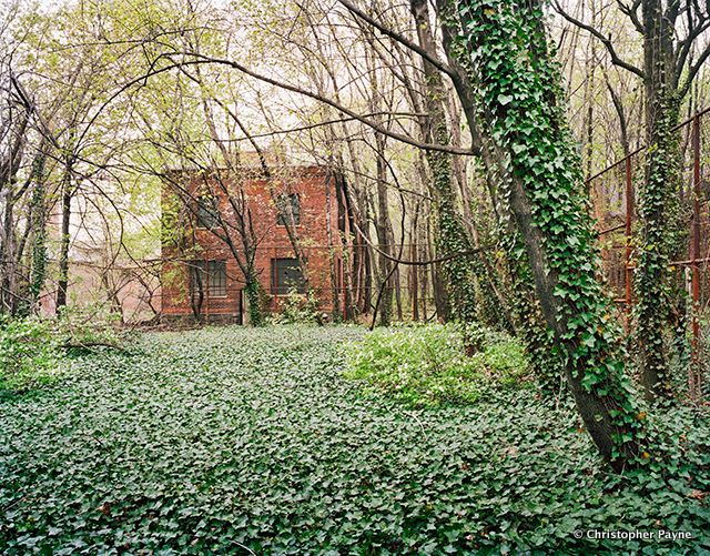 North Brother Island