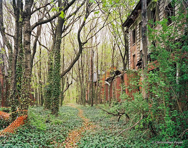 North Brother Island