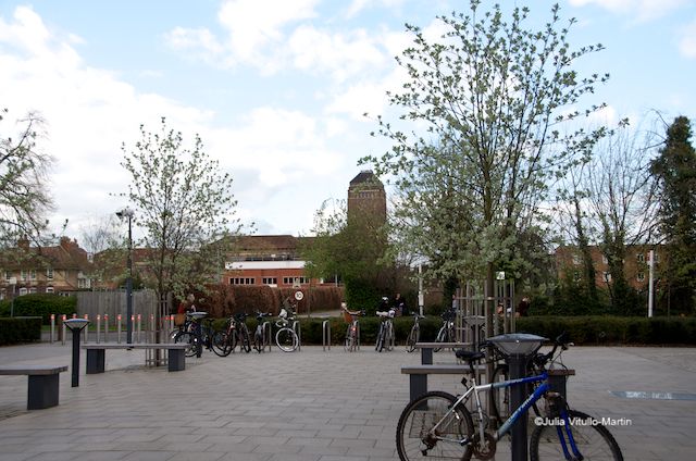 The University Library (UL) is basically unconnected to Sidgwick Site.