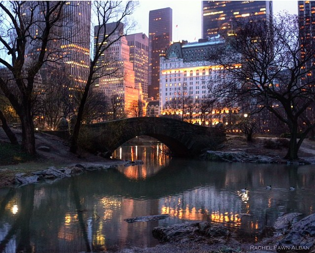 Untapped Cities Instagram pic of the week Central Park by Rachel Fawn Alban