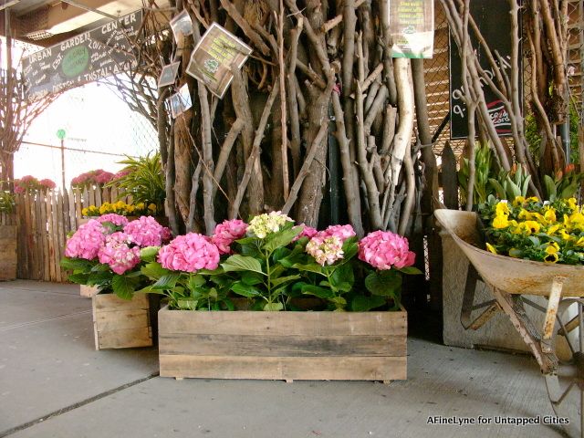 The inviting new entrance to The Urban Garden Center