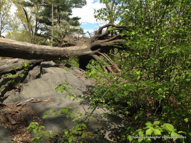 6-hallett nature sanctuary central park untapped cities IV