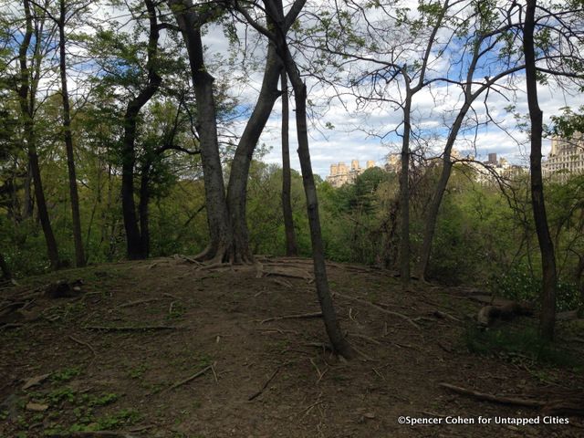 8-hallett nature sanctuary central park untapped cities II