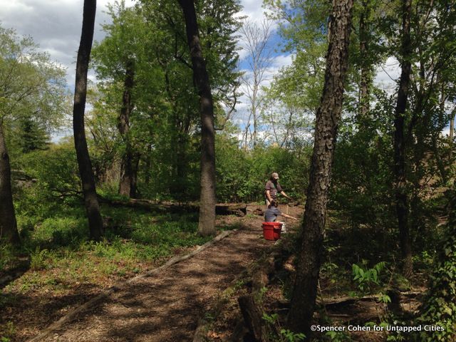 9-hallett nature sanctuary central park untapped cities