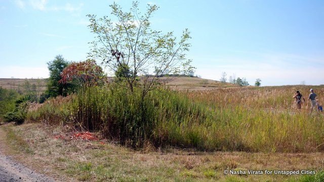 FreshKills-Staten-Island-Vista-Park-trash-Untapped Cities-Nasha Virata