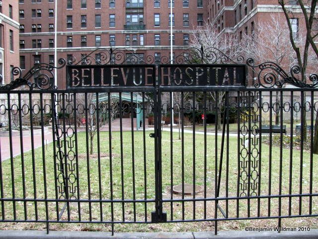 Bellevue Hospital