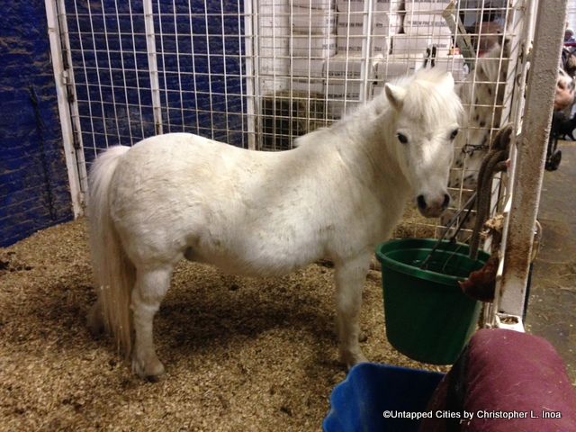 Chateau Stables-Untapped Cities-NYC-New York Adventure Club-Midtown-Tour-002