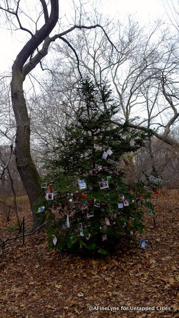 It's still early on in this Holiday Season. We know by Christmas this tree will be filled with ornaments