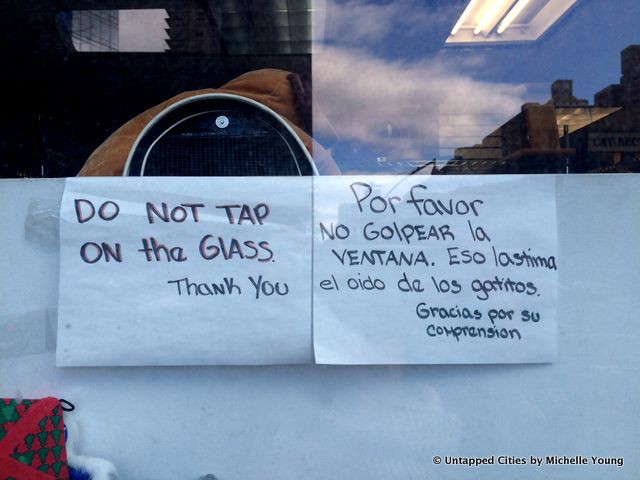 DIY Signage-No Hoodies-Cell Phones-Do Not Tap on Glass-Surveillance-NYC