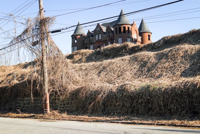 Abandoned NYC-Smith Infirmary-Staten Island Hospital-Demolished-Untapped Cities_Will Ellis_Abandoned Hospitals-6