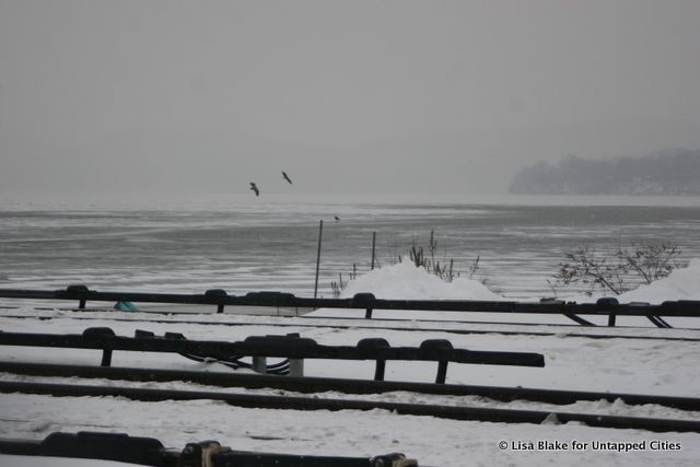 EagleFest-Teatown Lake Reservation-Croton Point Park-Hudson Valley-NYC-003