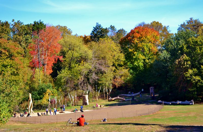 donald-and-barbara-zucker-natural-exploration-area-prospect-park-brooklyn-trees-hurricane-sandy-storms-nyc